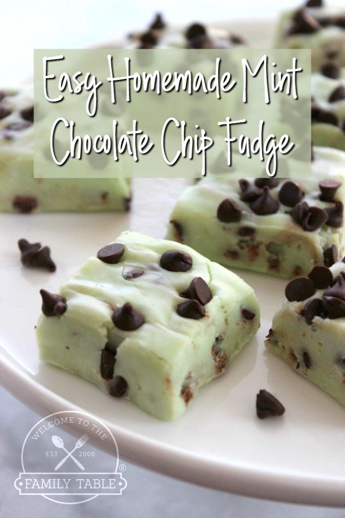 Easy Homemade Mint Chocolate Chip Fudge