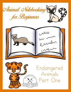animal notebooking
