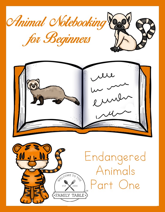 Animal Notebooking for Beginners – Endangered Animals, Pt. 1