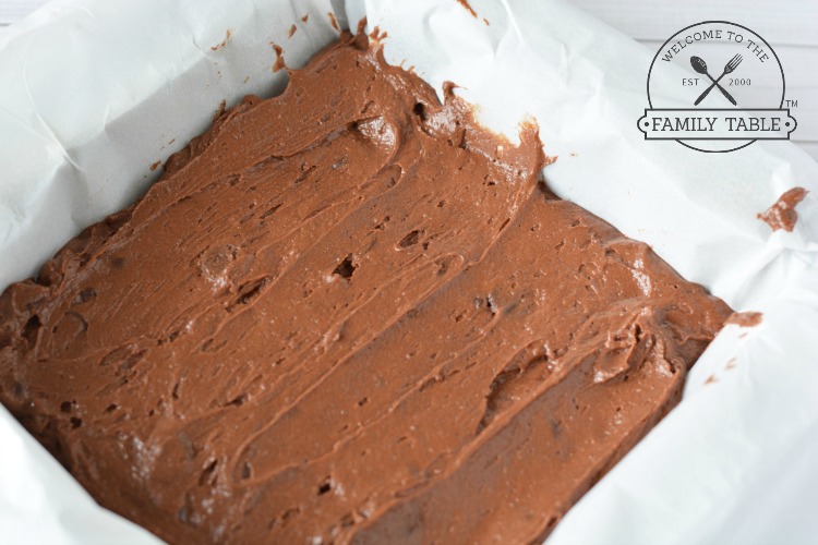 Homemade Chocolate Chip Brownies in Pan